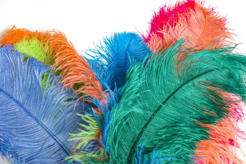 Feather Detail 4K Wallpaper · birds · 3840×2560