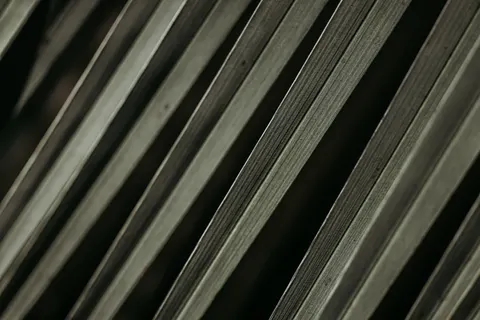 Feather Detail 4K Wallpaper · birds · 3840×2561