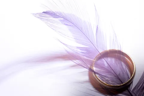 Feather Detail 4K Wallpaper · birds · 3840×2560