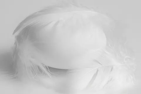 والپیپر جزئیات پر با کیفیت 4K · birds · 3840×2560