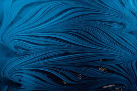 Feather Detail 4K Wallpaper · birds · 3840×2560