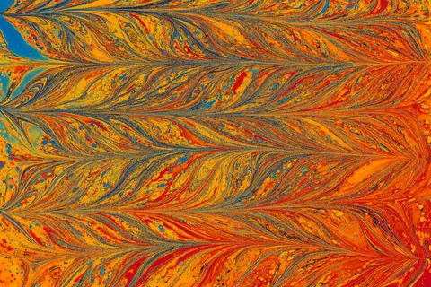 Feather Detail 4K Wallpaper · birds · 3840×2560