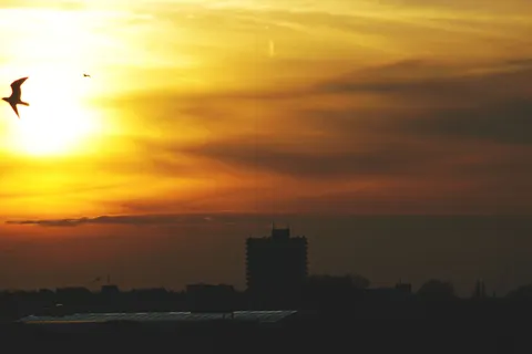 Altın Gün Batımı 4K Duvar Kağıdı · sunset · 3840×2560
