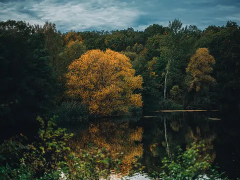 خلفية بحيرة خريفية بدقة 4K · autumn · 3840×2878