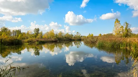 خلفية بحيرة خريفية بدقة 4K · autumn · 3840×2161