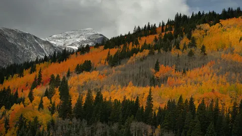 Hình nền Núi Non Mùa Thu 4K · autumn · 3840×2160