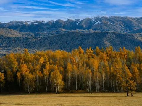 Herbstliche Berge 4K Hintergrundbild · autumn · 3840×2880