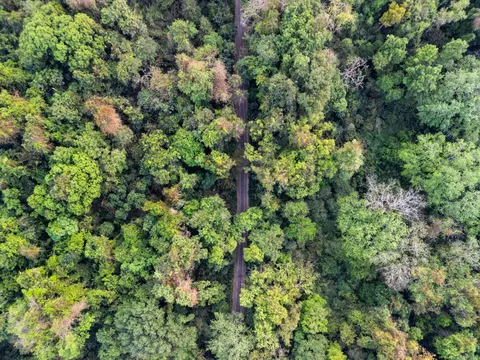 Papel de parede Floresta Aérea 4K · aerial · 3840×2880