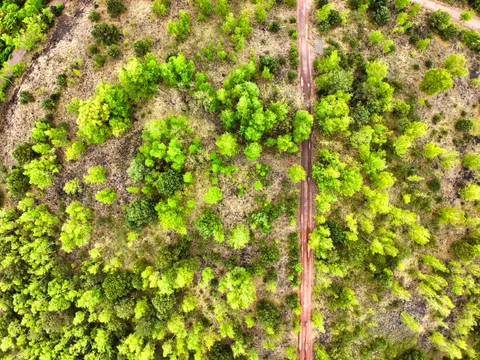 Hình nền Rừng Nhìn Từ Trên Cao 4K · aerial · 3840×2880