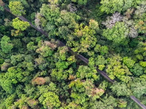Aerial Forest 4K Wallpaper · aerial · 3840×2880