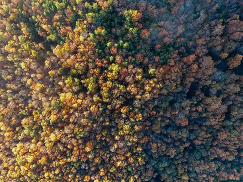 空撮の森林 4K壁紙 · aerial · 3840×2880