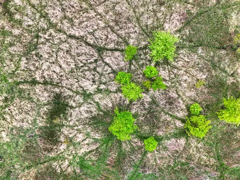 والپیپر جنگل هوایی با کیفیت 4K · aerial · 3840×2880