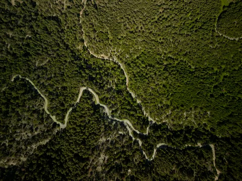 Fondo de pantalla Bosque Vista Aérea 4K · aerial · 3840×2879