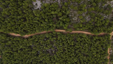 Aerial Forest 4K Wallpaper · aerial · 3840×2160