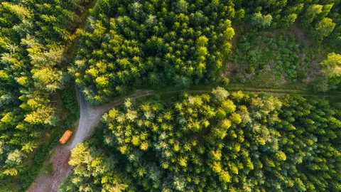 Aerial Forest 4K Wallpaper · aerial · 3840×2160