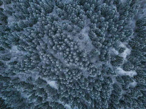 空撮の森林 4K壁紙 · aerial · 3840×2880