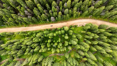 항공 촬영 숲 4K 배경화면 · aerial · 3840×2160