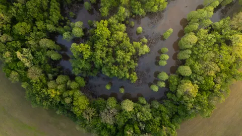 خلفية الغابة من الجو بدقة 4K · aerial · 3840×2160