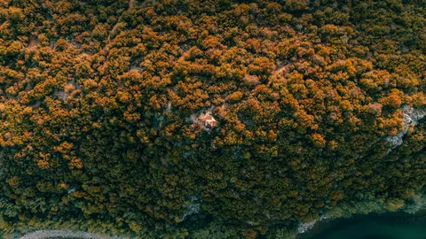 Aerial Forest 4K Wallpaper · aerial · 3840×2160