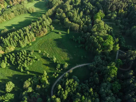 Aerial Forest 4K Wallpaper · aerial · 3840×2880