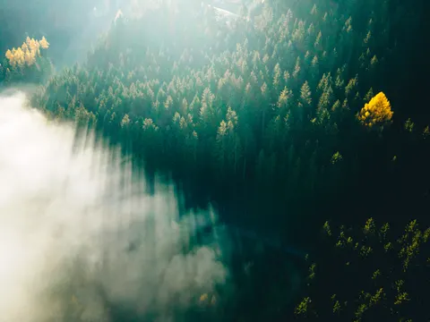 Aerial Forest 4K Wallpaper · aerial · 3840×2880