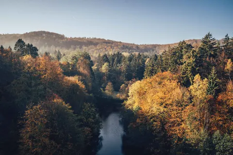 Luftaufnahme Wald 4K Hintergrundbild · aerial · 3840×2560
