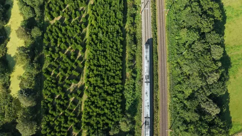 Aerial Forest 4K Wallpaper · aerial · 3840×2160