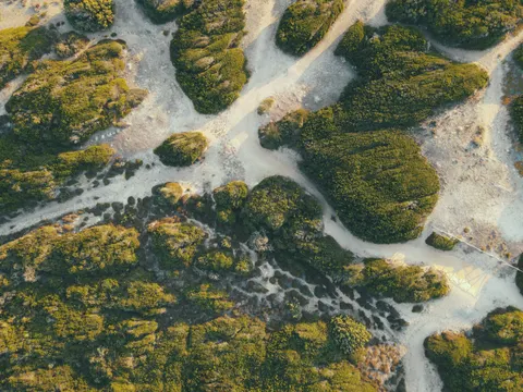 Aerial Forest 4K Wallpaper · aerial · 3840×2880