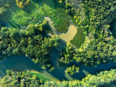 Aerial Forest 4K Wallpaper · aerial · 3840×2880