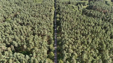 Papel de parede Floresta Aérea 4K · aerial · 3840×2160