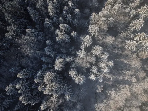 Fondo de pantalla Bosque Vista Aérea 4K · aerial · 3840×2880