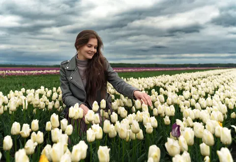 Fond d'écran Champ de tulipes 4K · flowers · 3840×2631