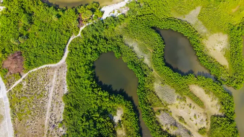 والپیپر رودخانه هوایی با کیفیت 4K · aerial · 3840×2160