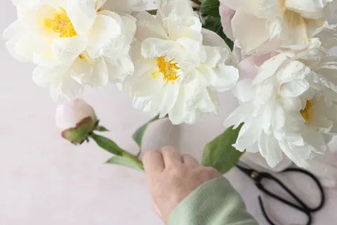 पियोनी 4K वॉलपेपर · flowers · 3840×2560