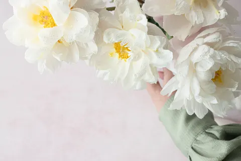 Wallpaper Bunga Peoni 4K · flowers · 3840×2560