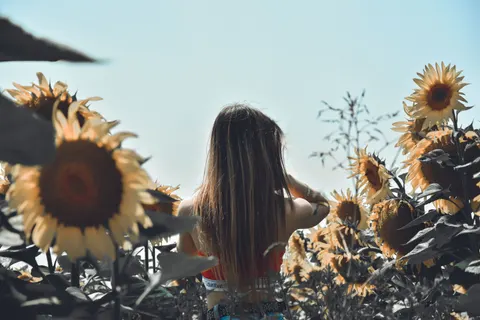 向日葵田 4K壁纸 · flowers · 3840×2560