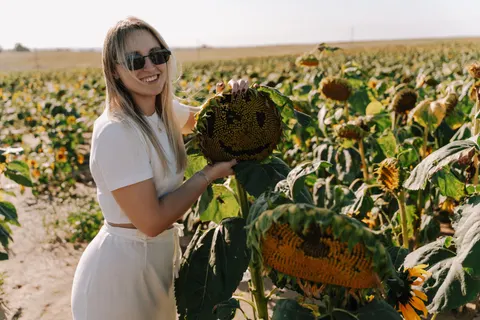 Sunflower Field 4K Wallpaper · flowers · 3840×2560