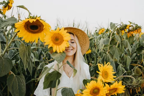 Sunflower Field 4K Wallpaper · flowers · 3840×2560