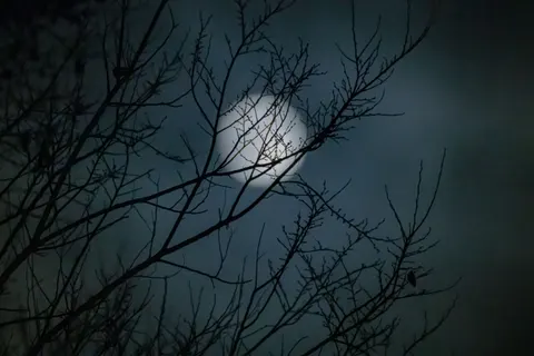 Full Moon 4K Wallpaper · space · 3840×2560