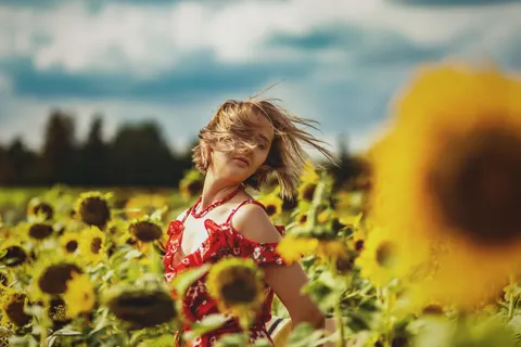 Обои Поле подсолнухов 4K · flowers · 3840×2560