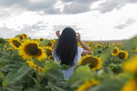 Sonnenblumenfeld 4K Hintergrundbild · flowers · 3840×2563