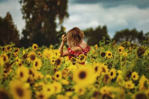 Sunflower Field 4K Wallpaper · flowers · 3840×2560