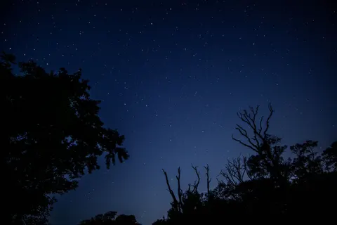 Starlit Silhouette 4K Wallpaper · space · 3840×2560