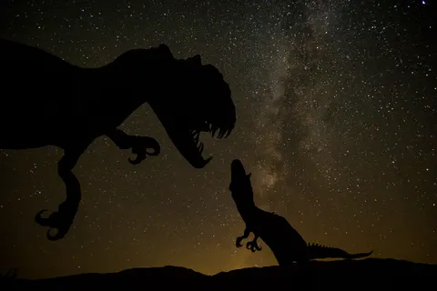 Starlit Silhouette 4K Wallpaper · space · 3840×2560