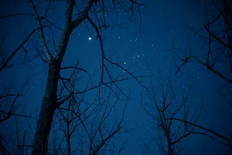 Starlit Silhouette 4K Wallpaper · space · 3840×2563