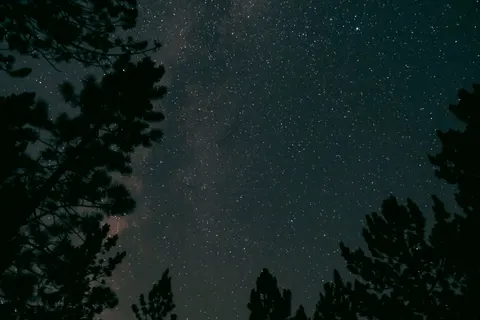 Starlit Silhouette 4K Wallpaper · space · 3840×2560