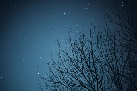 Starlit Silhouette 4K Wallpaper · space · 3840×2560