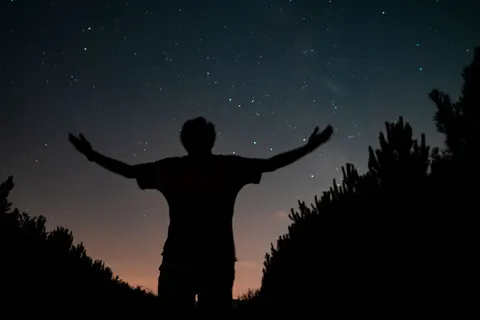 Starlit Silhouette 4K Wallpaper · space · 3840×2561