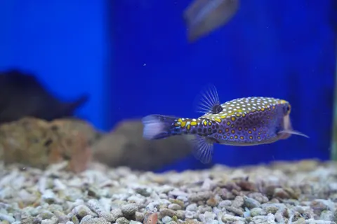 والپیپر صخره مرجانی زیر آب با کیفیت 4K · underwater · 3840×2560