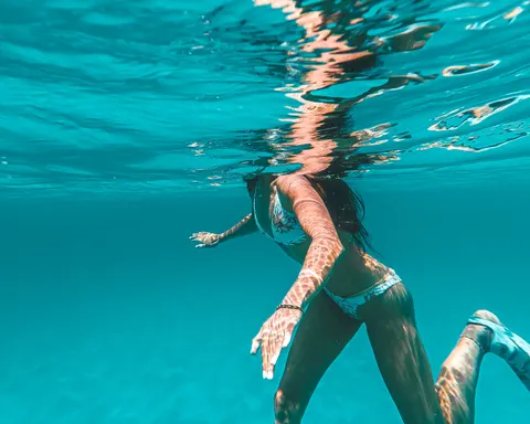 Sfondo Tartaruga che Nuota 4K · underwater · 3840×3072